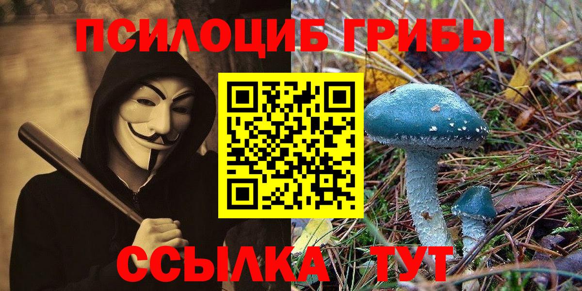 Псилоцибиновые грибы мухоморы Вятские Поляны
